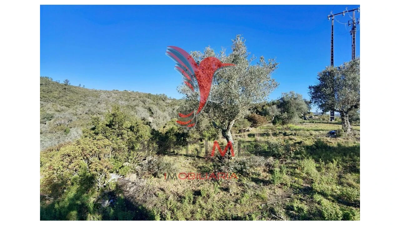 Terreno para Venda em Abrã Foto 19