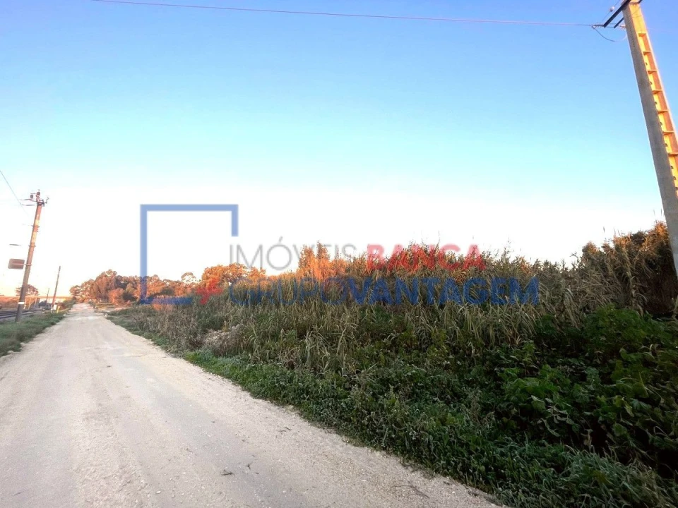 Terreno para Venda em Pegões Foto 18