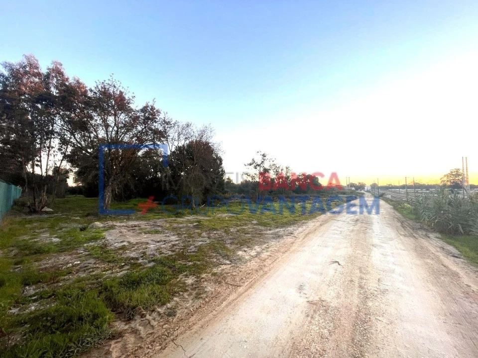 Terreno para Venda em Pegões Foto 19