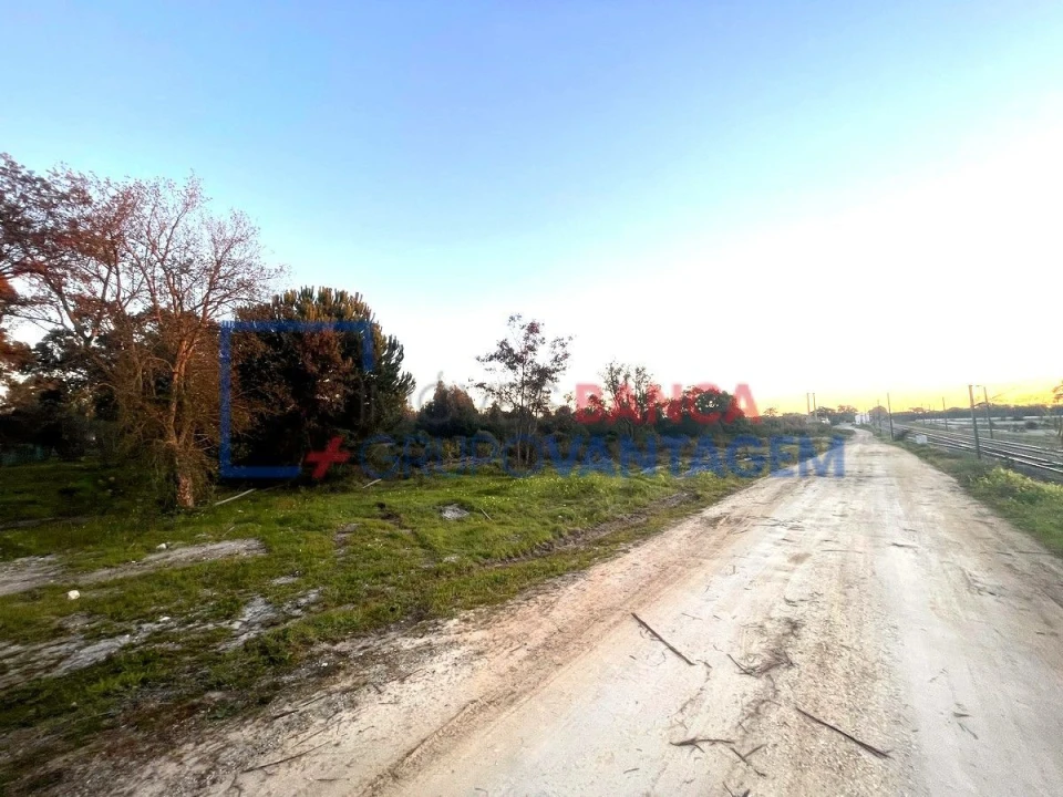 Terreno para Venda em Pegões Foto 24