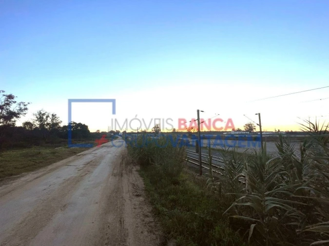 Terreno para Venda em Pegões Foto 23