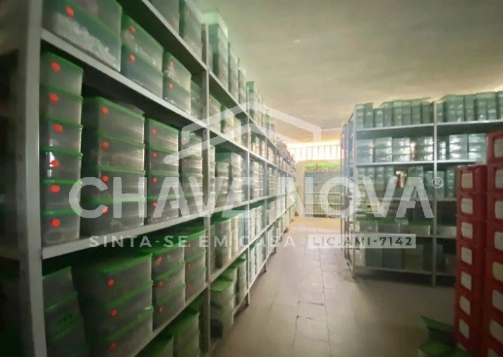 Armazém para Venda em São João da Madeira Foto 7