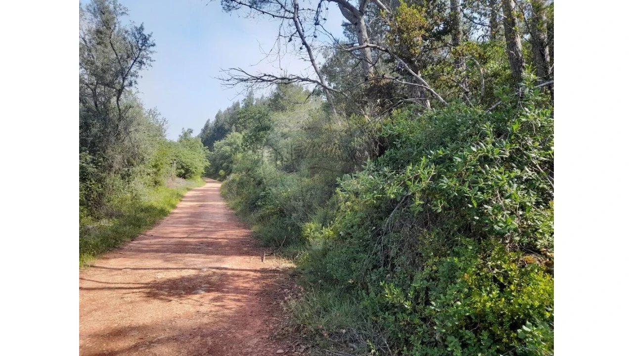 Terreno para Venda em Podentes Foto 5
