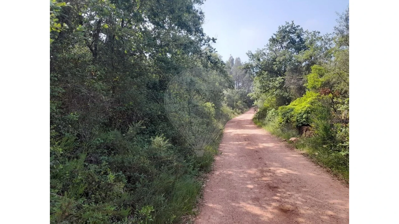 Terreno para Venda em Podentes Foto 3