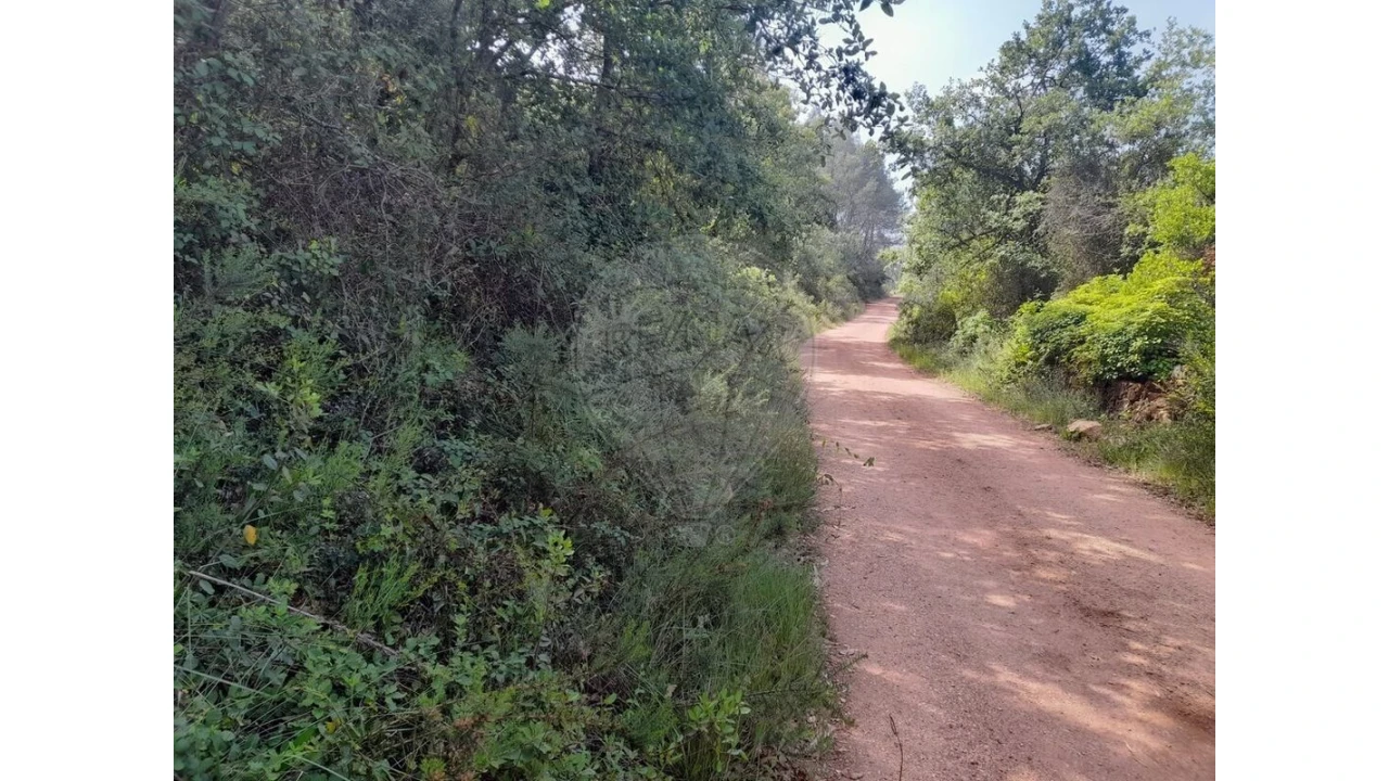 Terreno para Venda em Podentes Foto 10