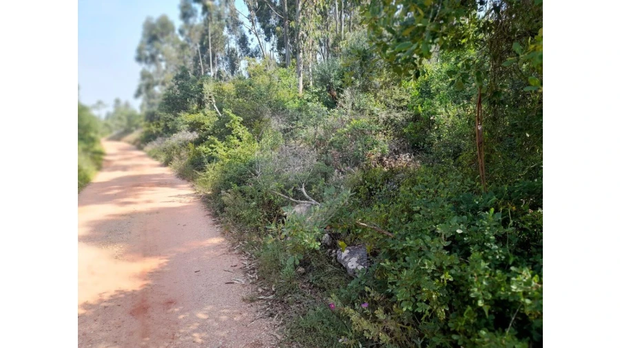 Terreno para Venda em Podentes Foto 7