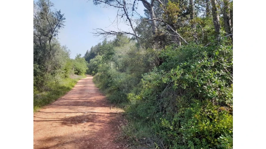 Terreno para Venda em Podentes Foto 5