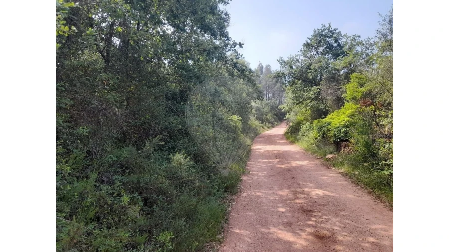 Terreno para Venda em Podentes Foto 3