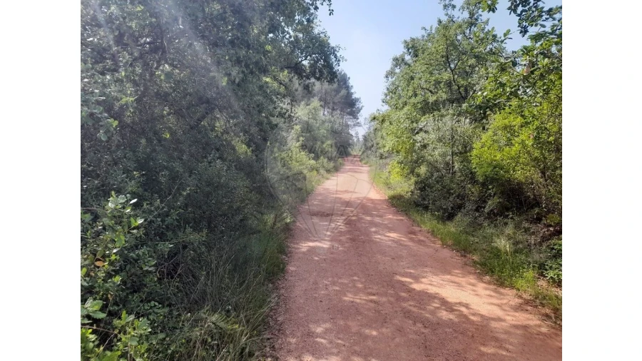 Terreno para Venda em Podentes Foto 15