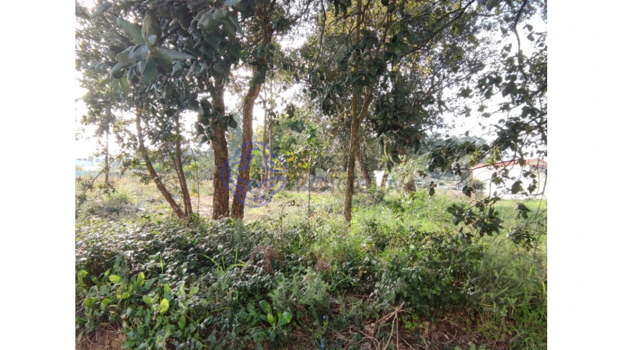 Terreno para Venda em Canidelo Foto 8