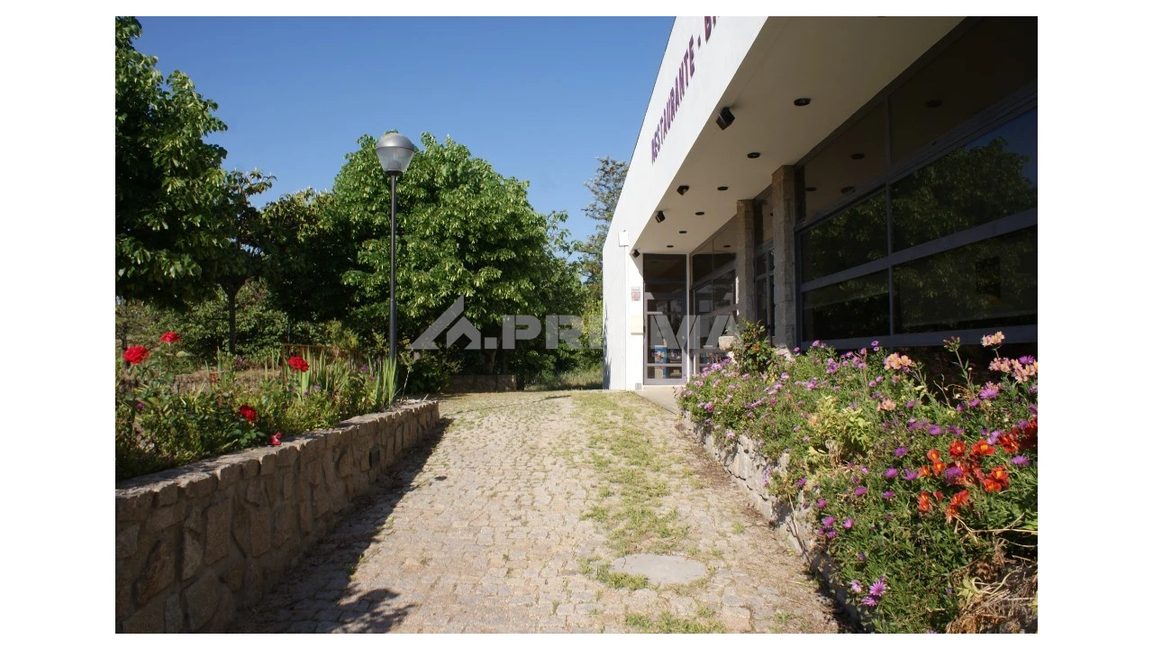 Negócio para Venda em Idanha-A-Nova e Alcafozes Foto 4