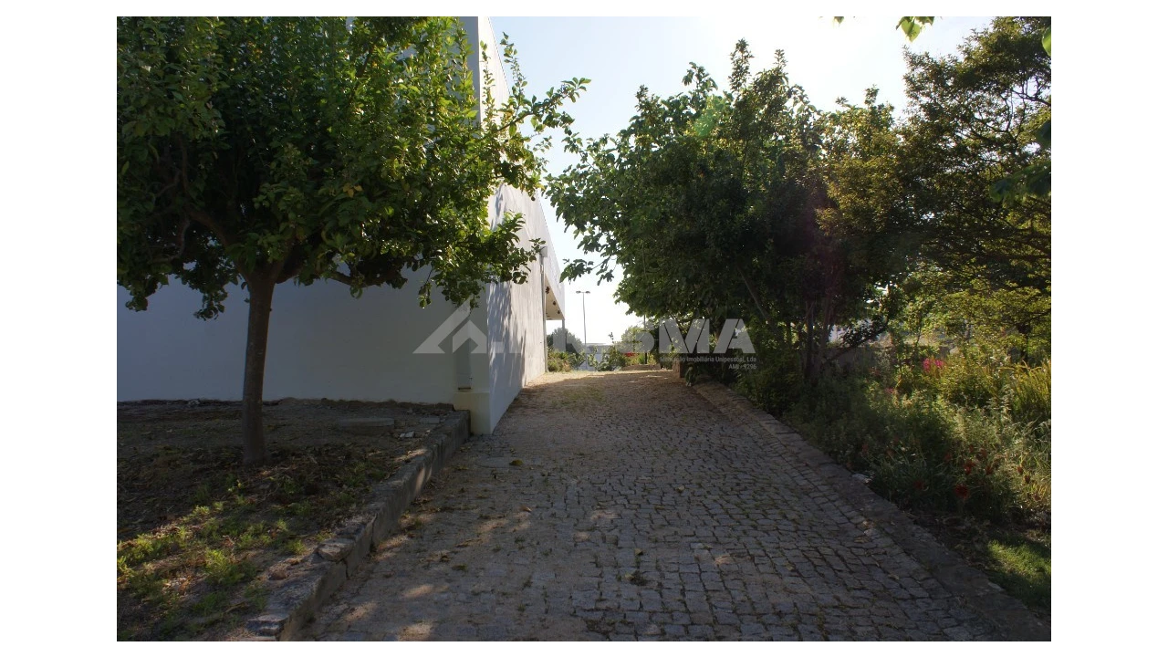 Negócio para Venda em Idanha-A-Nova e Alcafozes Foto 7