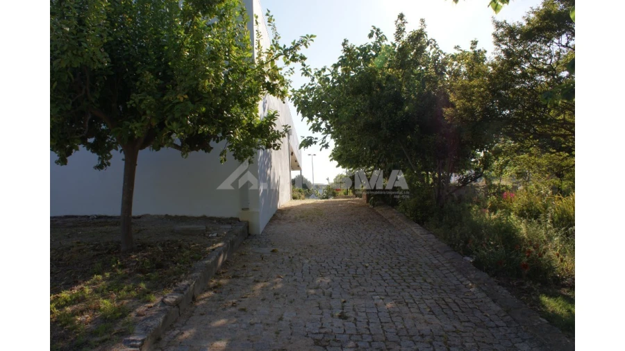 Negócio para Venda em Idanha-A-Nova e Alcafozes Foto 7