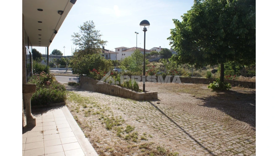 Negócio para Venda em Idanha-A-Nova e Alcafozes Foto 5