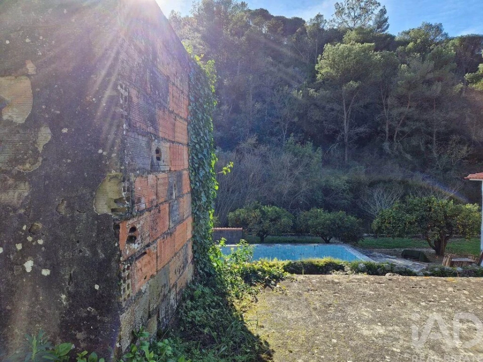 Moradia para Venda em Arrimal e Mendiga Foto 18