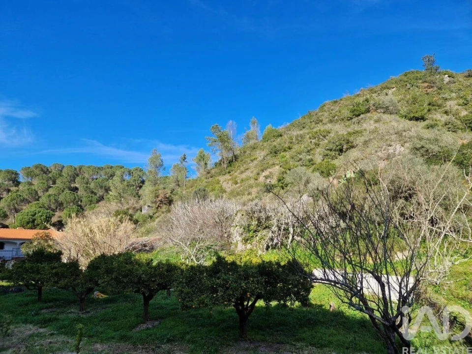 Moradia para Venda em Arrimal e Mendiga Foto 20