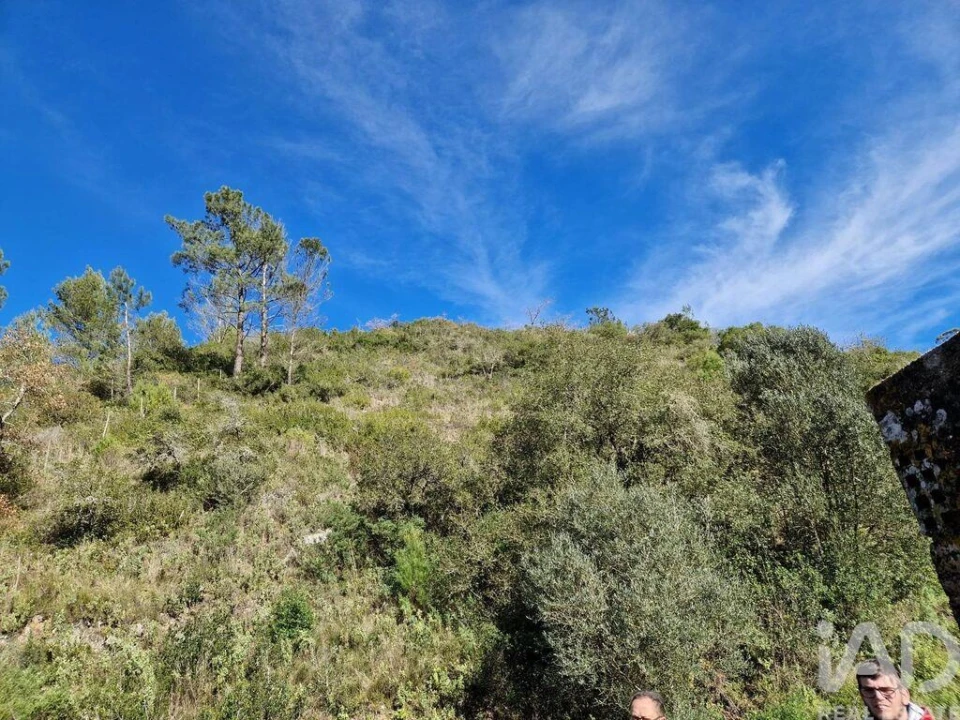 Moradia para Venda em Arrimal e Mendiga Foto 22