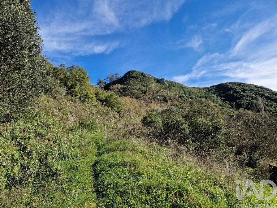 Moradia para Venda em Arrimal e Mendiga Foto 24