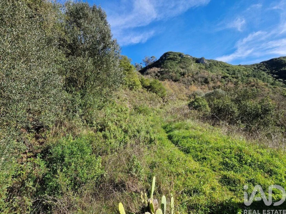 Moradia para Venda em Arrimal e Mendiga Foto 19
