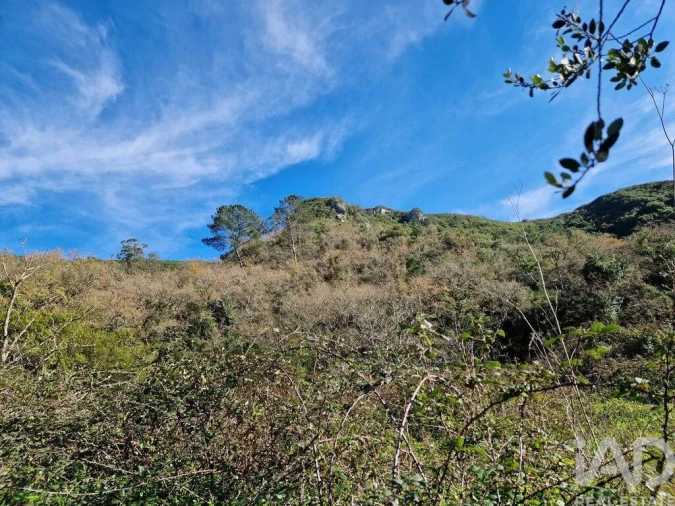 Moradia para Venda em Arrimal e Mendiga Foto 10