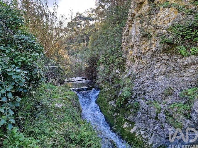 Moradia para Venda em Arrimal e Mendiga Foto 8