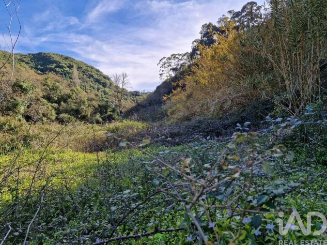 Moradia para Venda em Arrimal e Mendiga Foto 12