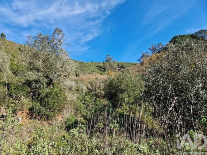 Moradia para Venda em Arrimal e Mendiga Foto 4