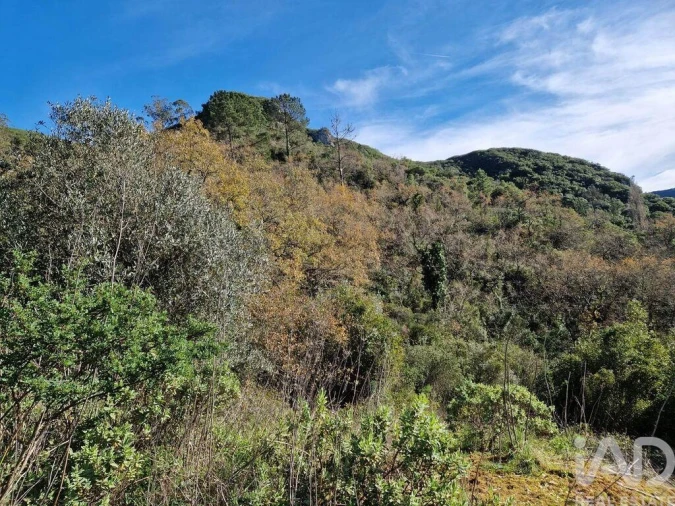 Moradia para Venda em Arrimal e Mendiga Foto 3