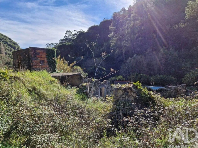 Moradia para Venda em Arrimal e Mendiga Foto 15