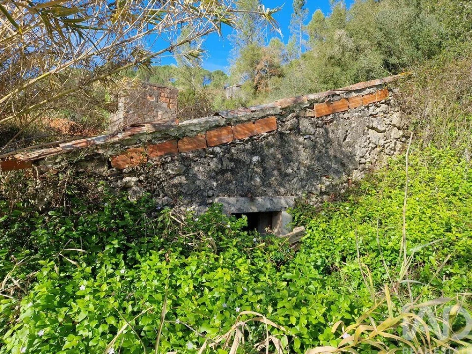 Moradia para Venda em Arrimal e Mendiga Foto 14