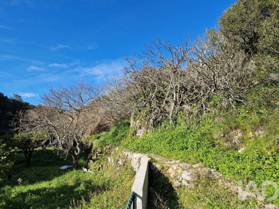 Moradia para Venda em Arrimal e Mendiga Foto 13