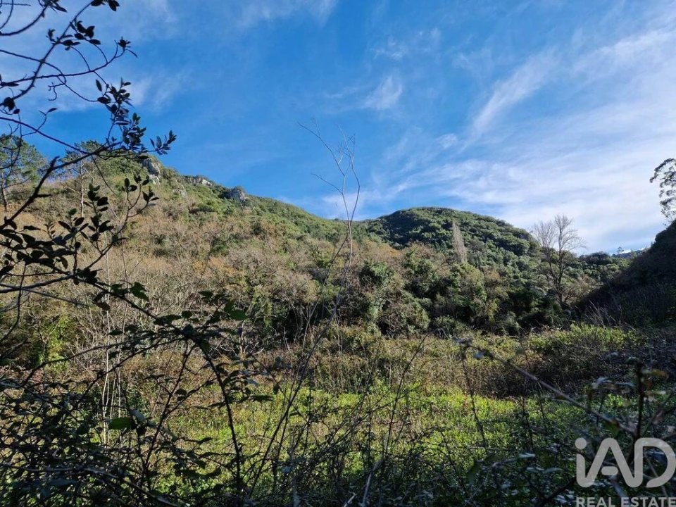 Moradia para Venda em Arrimal e Mendiga Foto 11