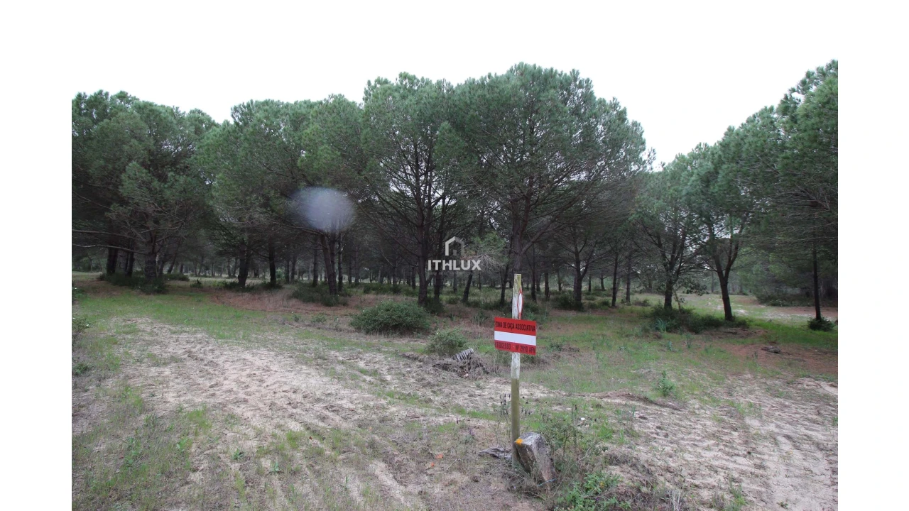 Quinta para Venda em Melides Foto 30