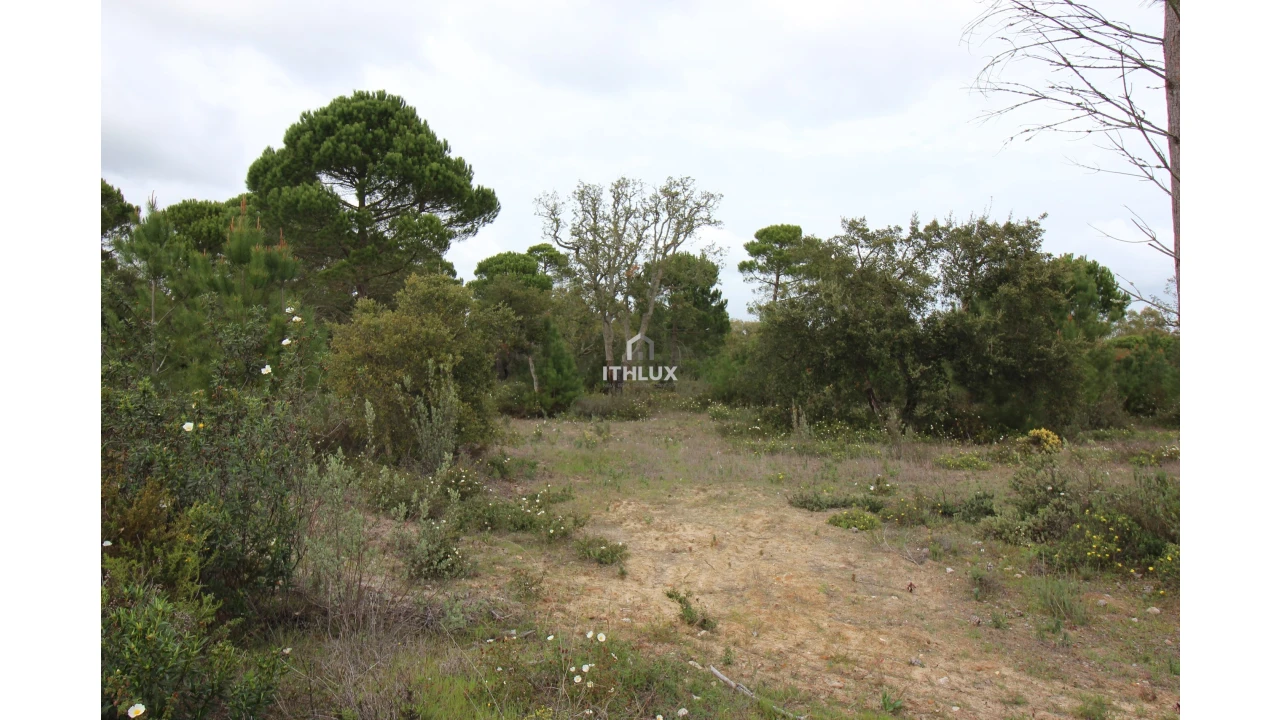 Quinta para Venda em Melides Foto 12