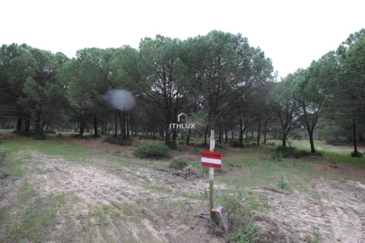 Quinta para Venda em Melides