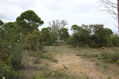 Quinta para Venda em Melides