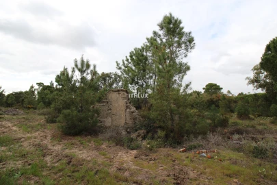 Quinta para Venda em Melides