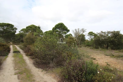 Quinta para Venda em Melides