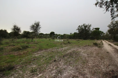 Quinta para Venda em Melides