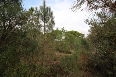 Quinta para Venda em Melides
