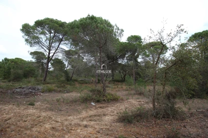Quinta para Venda em Melides