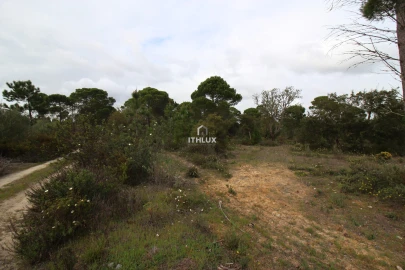 Quinta para Venda em Melides