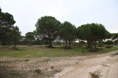 Quinta para Venda em Melides