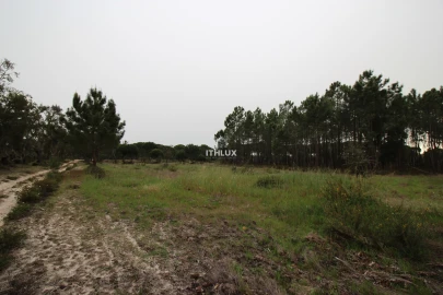 Quinta para Venda em Melides