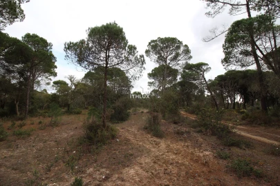 Quinta para Venda em Melides