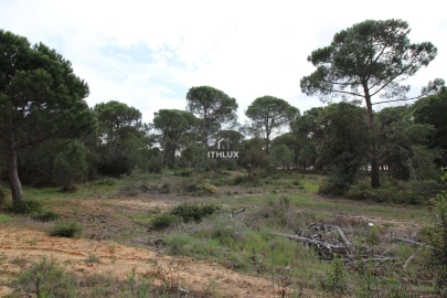 Quinta para Venda em Melides