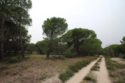 Quinta para Venda em Melides