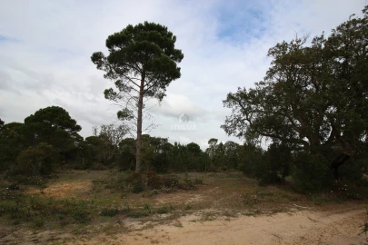 Quinta para Venda em Melides