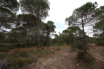Quinta para Venda em Melides