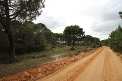 Quinta para Venda em Melides